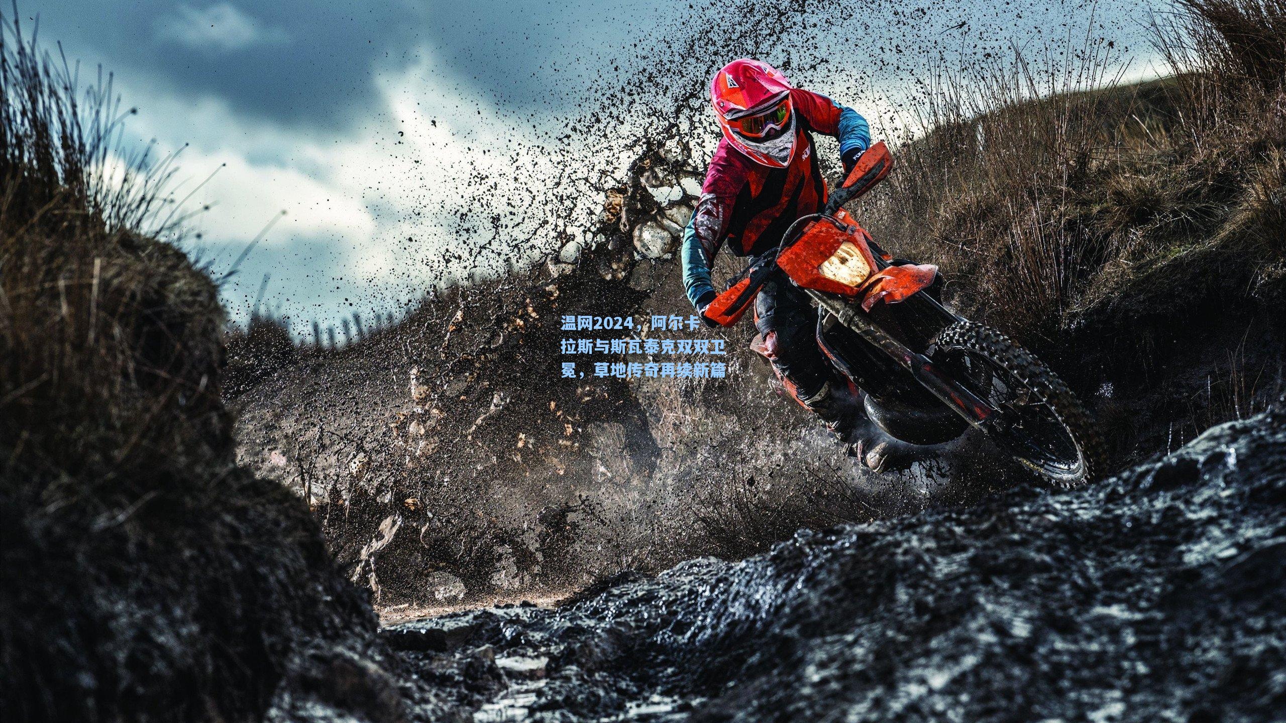 温网2024，阿尔卡拉斯与斯瓦泰克双双卫冕，草地传奇再续新篇
